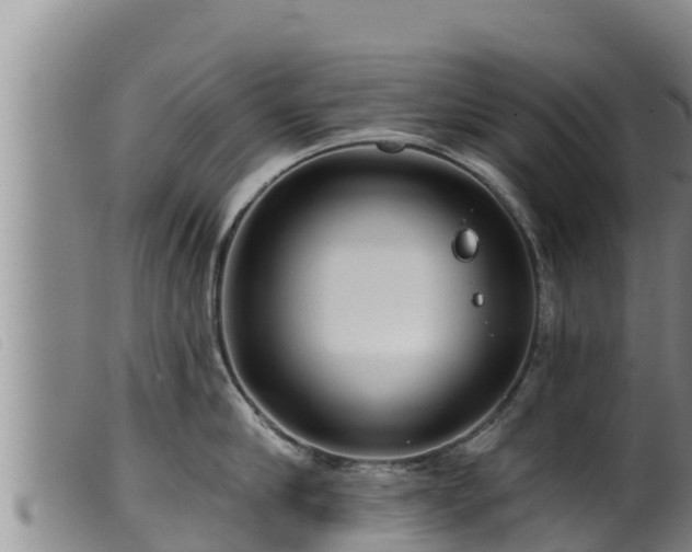 X0000099540910200805231124