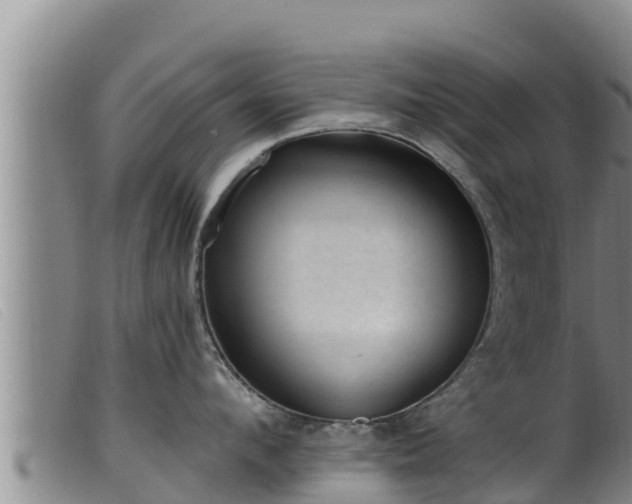 X0000099540912200805231123