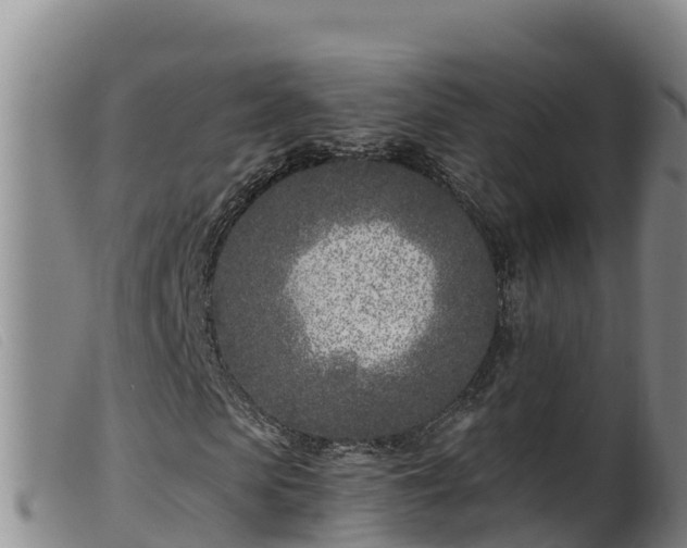 X0000099540913200805231123