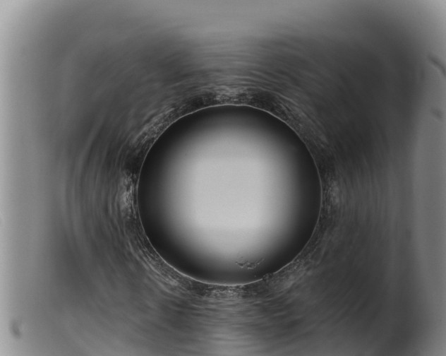 X0000099540914200805231123