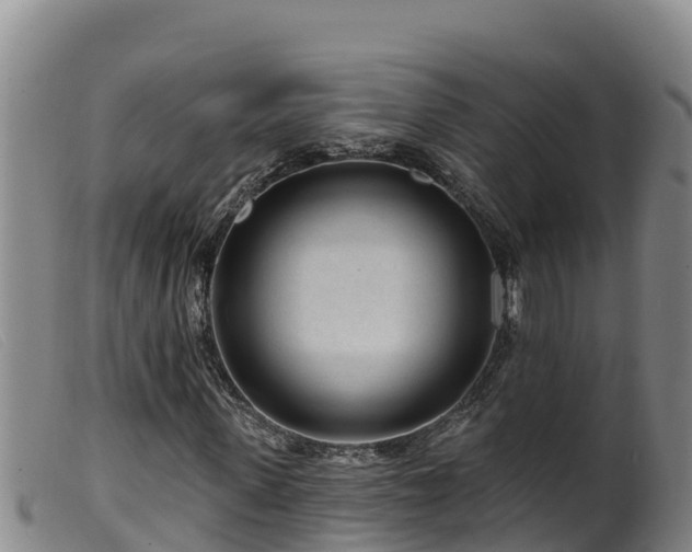 X0000099540915200805231123