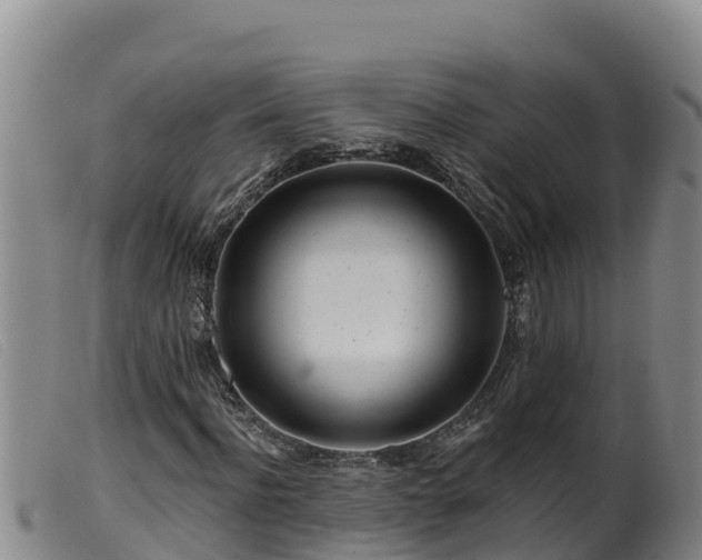 X0000099540916200805231123