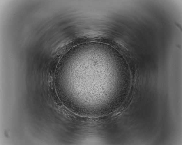 X0000099540917200805231123