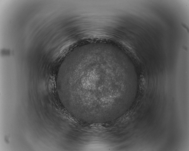 X0000099540918200805231123