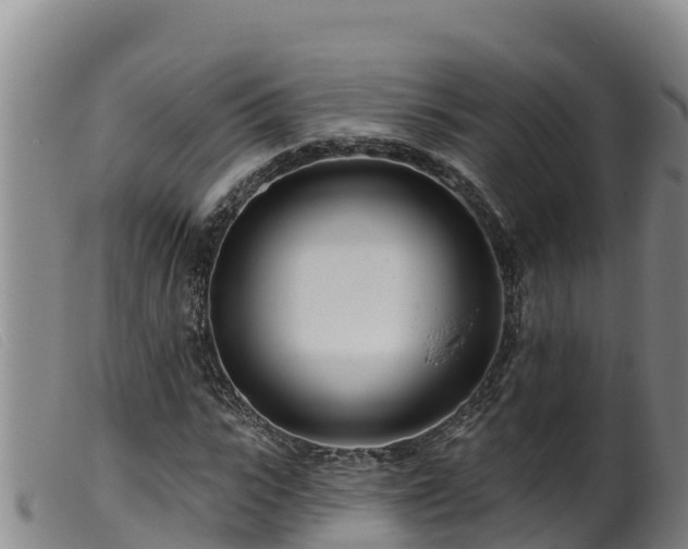 X0000099540919200805231123