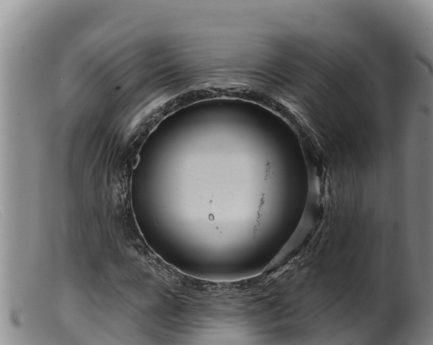 X0000099540920200805231123