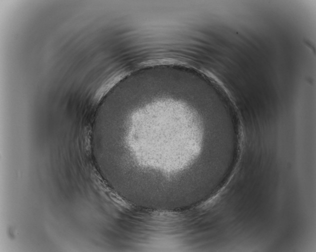 X0000099540921200805231123