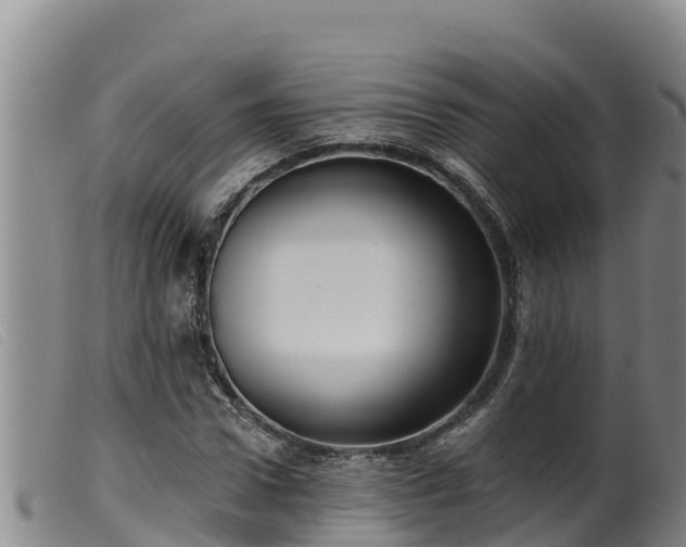 X0000099540922200805231123