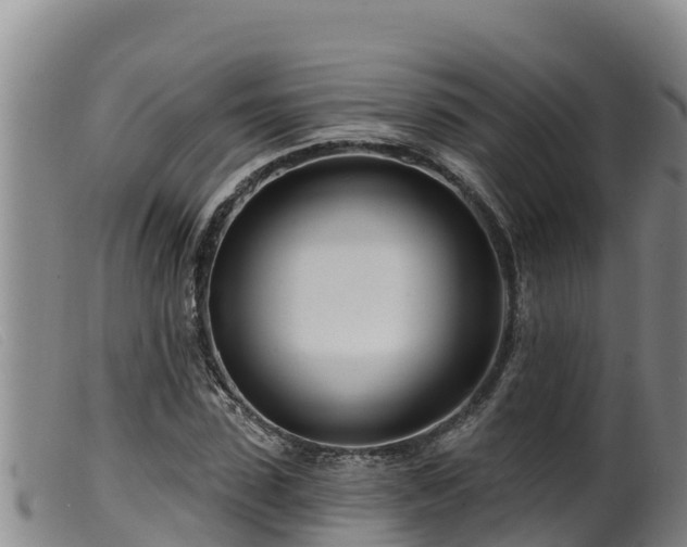 X0000099540923200805231123