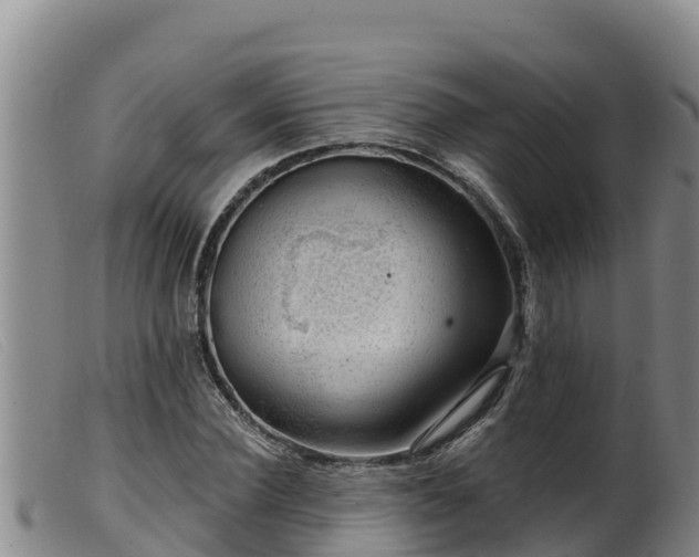 X0000099540924200805231123