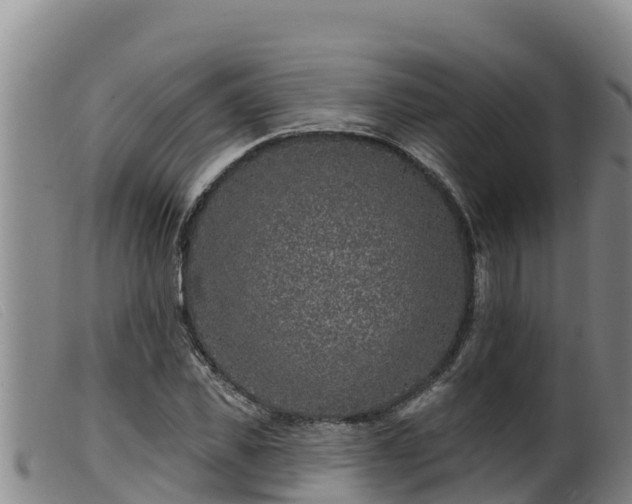 X0000099540925200805231123