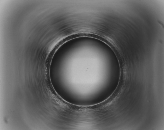 X0000099540926200805231123