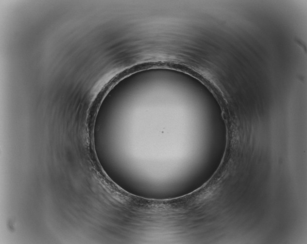 X0000099540927200805231123