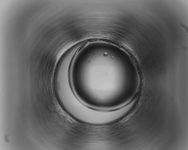 X0000099540928200805231123