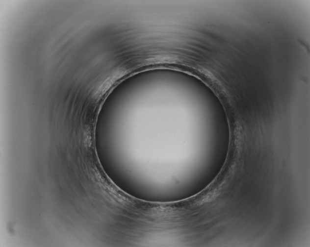 X0000099540929200805231123