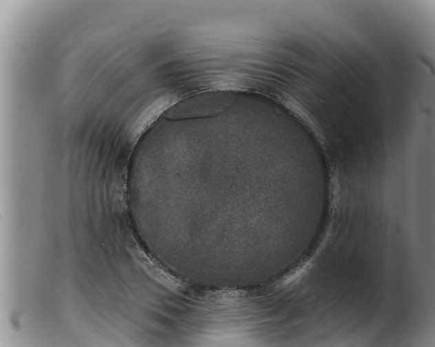 X0000099540930200805231123