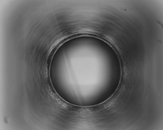 X0000099540931200805231123