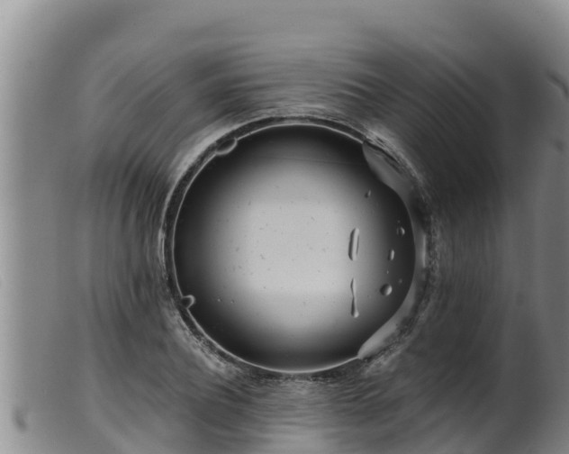 X0000099540932200805231123