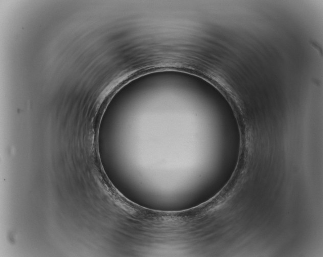 X0000099540933200805231123