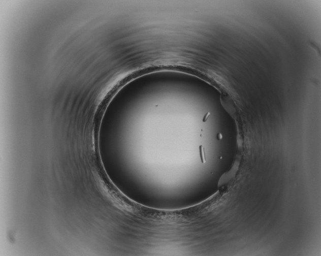 X0000099540934200805231123