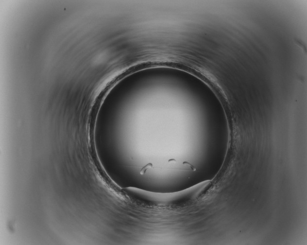 X0000099540935200805231123