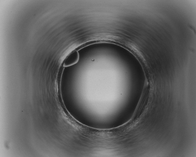 X0000099540936200805231123