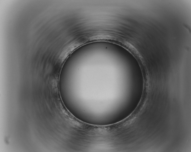 X0000099540937200805231123