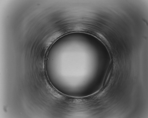 X0000099540938200805231123