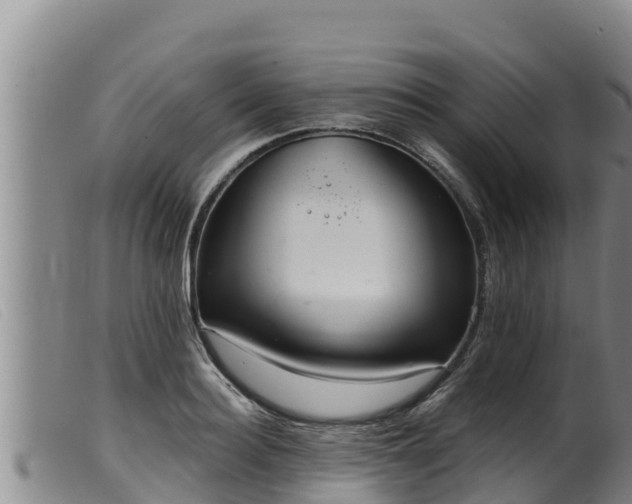 X0000099540940200805231123