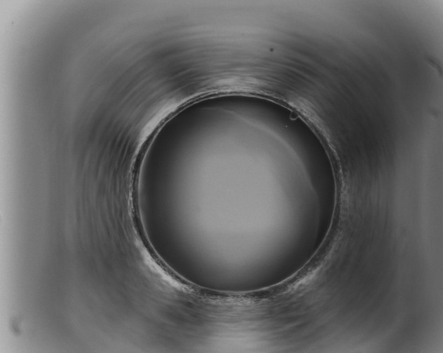 X0000099540941200805231123