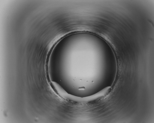 X0000099540943200805231123