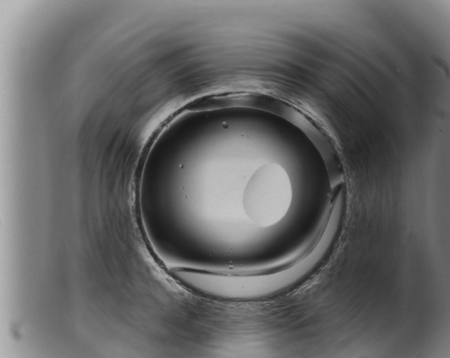 X0000099540944200805231123