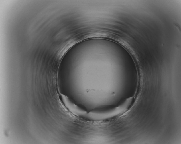 X0000099540945200805231123