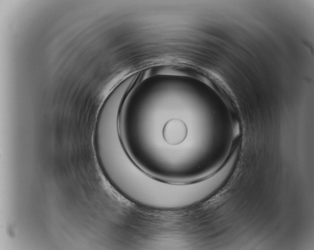 X0000099540946200805231123