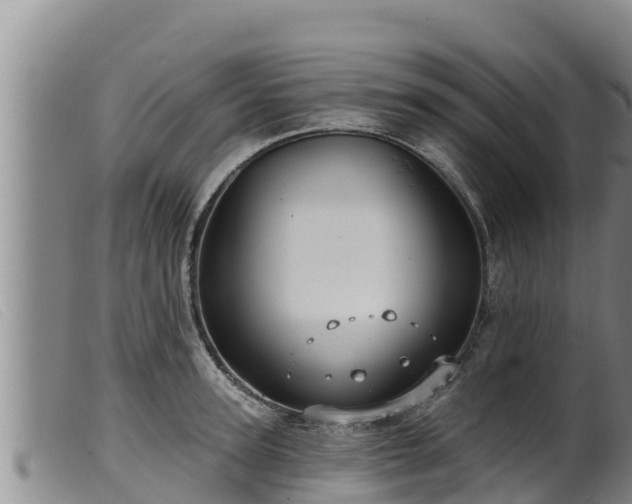 X0000099540947200805231123