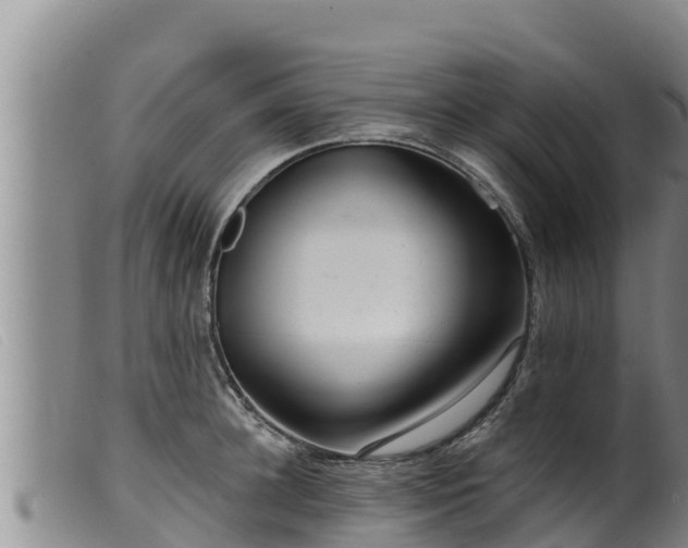 X0000099540948200805231123