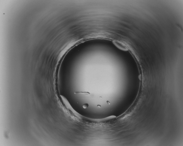 X0000099540949200805231123