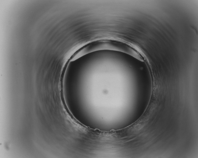 X0000099540951200805231123