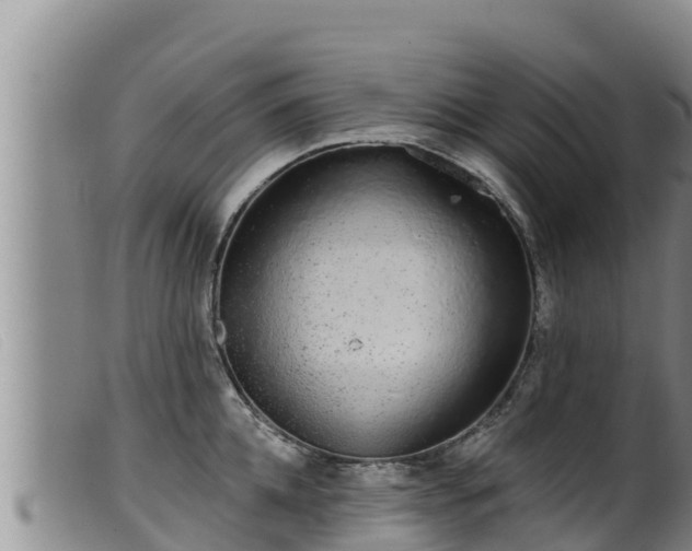 X0000099540952200805231123