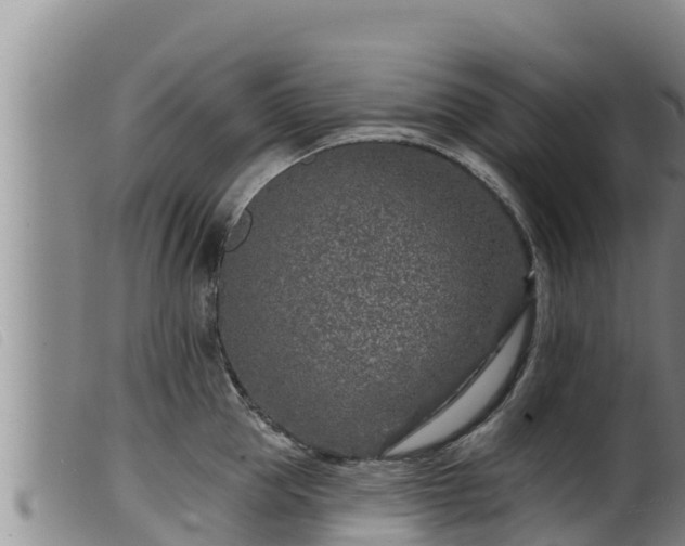 X0000099540953200805231123