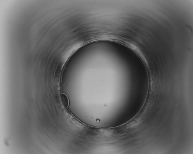 X0000099540954200805231123