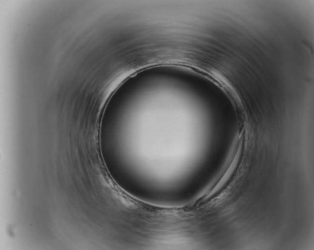 X0000099540956200805231123