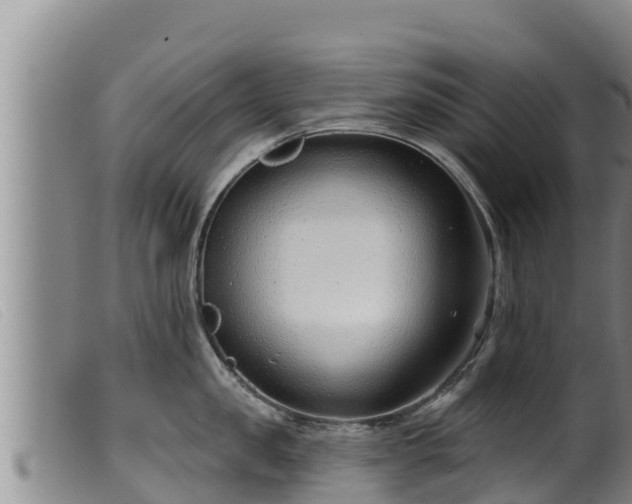 X0000099540957200805231123