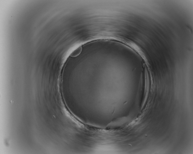 X0000099540958200805231123