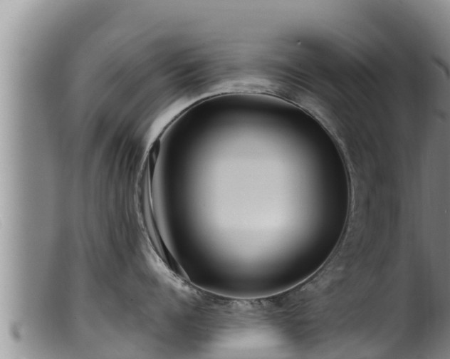 X0000099540960200805231123