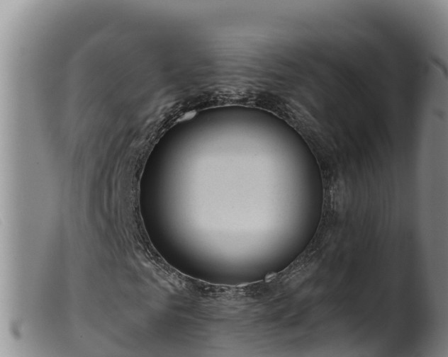 X0000099540961200805231123