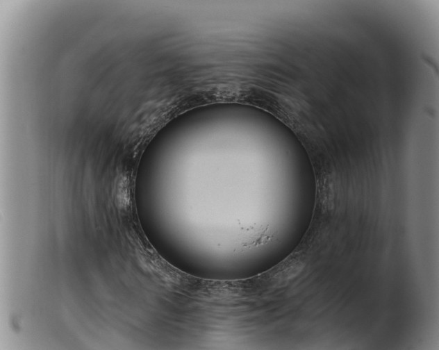 X0000099540962200805231123