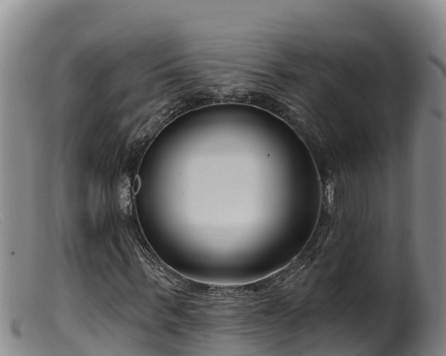 X0000099540963200805231123