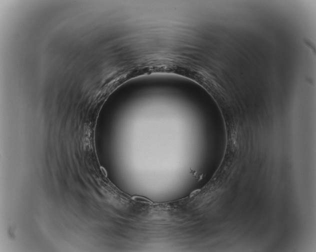 X0000099540964200805231123