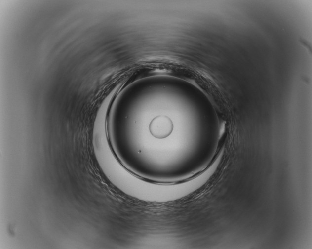 X0000099540965200805231123